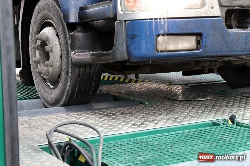 Zdjęcie w galerii na portalu naszraciborz.pl: Na śląskich drogach pojawił się zielony TRANSFORMERS FOTO i WIDEO wiadomości z regionu