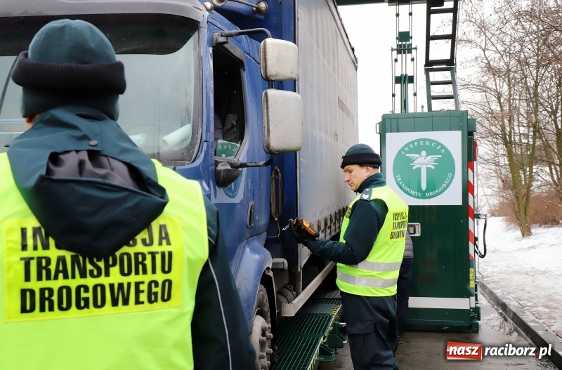 Zdjęcie w galerii na portalu naszraciborz.pl: Na śląskich drogach pojawił się zielony TRANSFORMERS FOTO i WIDEO wiadomości z regionu