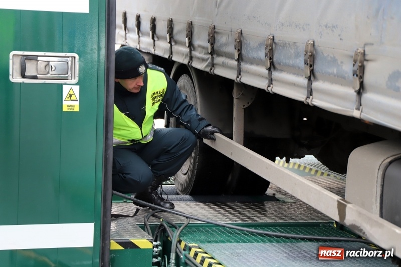 Zdjęcie w galerii na portalu naszraciborz.pl: Na śląskich drogach pojawił się zielony TRANSFORMERS FOTO i WIDEO wiadomości z regionu