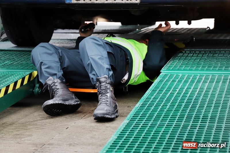 Zdjęcie w galerii na portalu naszraciborz.pl: Na śląskich drogach pojawił się zielony TRANSFORMERS FOTO i WIDEO wiadomości z regionu