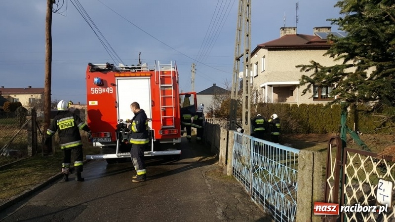 Zdjęcie w galerii na portalu naszraciborz.pl: Strażacy uratowali kota, który wpadł do studni. FOTO i WIDEO z akcji wiadomości z regionu