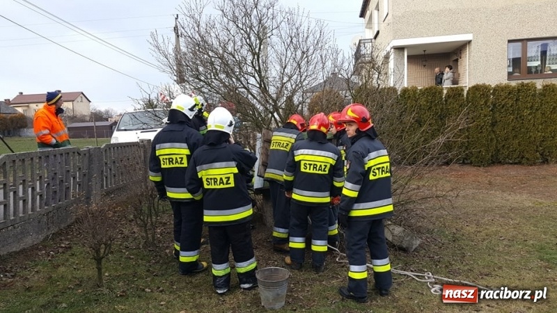 Zdjęcie w galerii na portalu naszraciborz.pl: Strażacy uratowali kota, który wpadł do studni. FOTO i WIDEO z akcji wiadomości z regionu