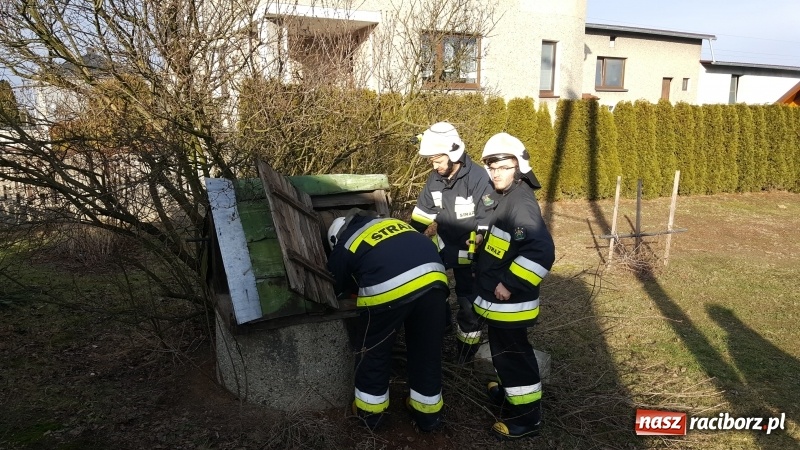 Zdjęcie w galerii na portalu naszraciborz.pl: Strażacy uratowali kota, który wpadł do studni. FOTO i WIDEO z akcji wiadomości z regionu