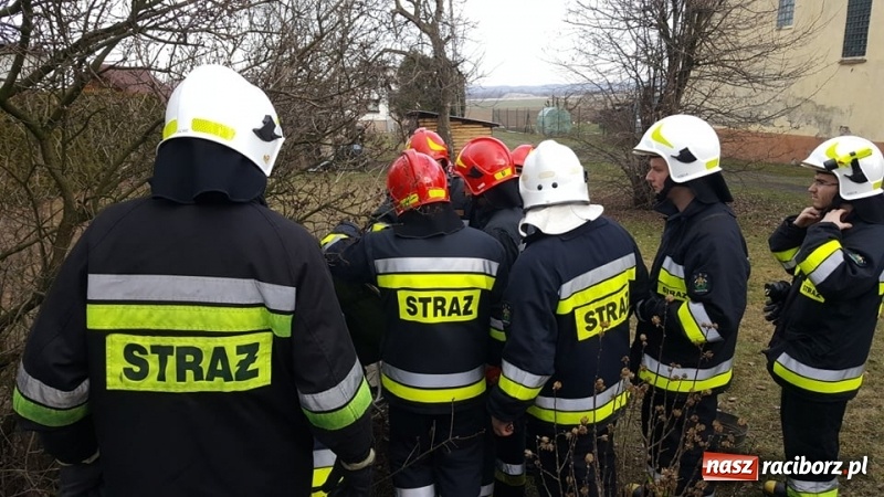 Zdjęcie w galerii na portalu naszraciborz.pl: Strażacy uratowali kota, który wpadł do studni. FOTO i WIDEO z akcji wiadomości z regionu