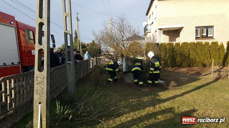 Zdjęcie w galerii na portalu naszraciborz.pl: Strażacy uratowali kota, który wpadł do studni. FOTO i WIDEO z akcji wiadomości z regionu