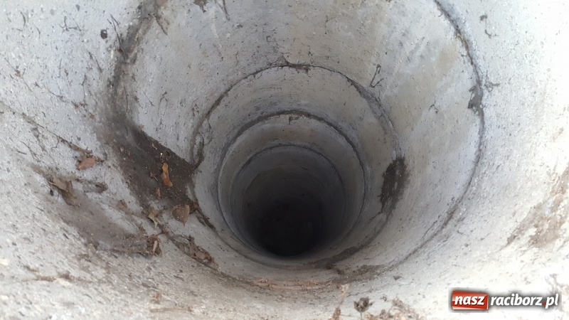 Zdjęcie w galerii na portalu naszraciborz.pl: Strażacy uratowali kota, który wpadł do studni. FOTO i WIDEO z akcji wiadomości z regionu