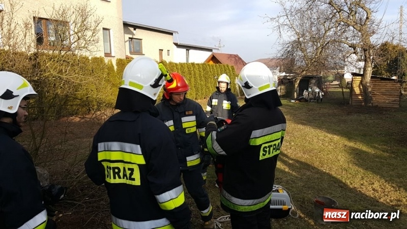 Zdjęcie w galerii na portalu naszraciborz.pl: Strażacy uratowali kota, który wpadł do studni. FOTO i WIDEO z akcji wiadomości z regionu