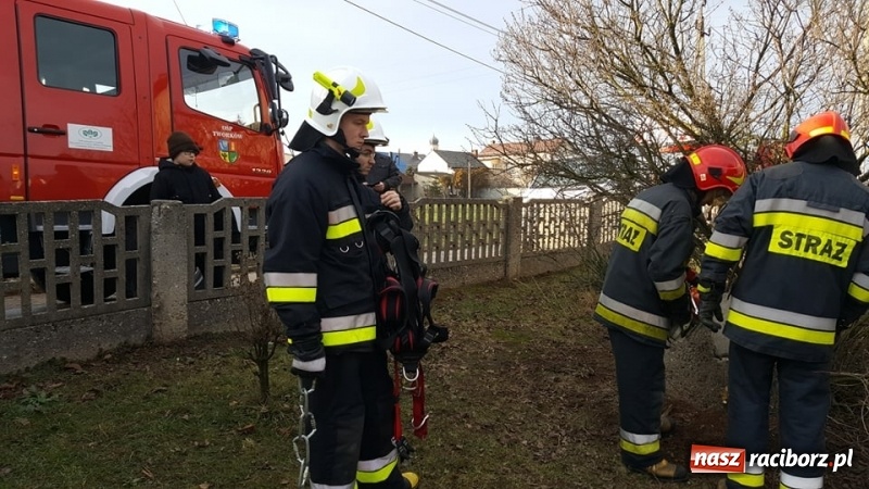 Zdjęcie w galerii na portalu naszraciborz.pl: Strażacy uratowali kota, który wpadł do studni. FOTO i WIDEO z akcji wiadomości z regionu
