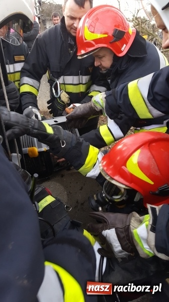 Zdjęcie w galerii na portalu naszraciborz.pl: Strażacy uratowali kota, który wpadł do studni. FOTO i WIDEO z akcji wiadomości z regionu