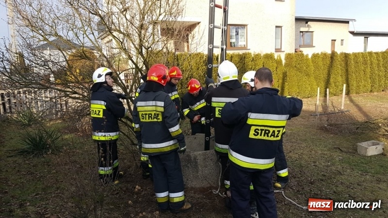 Zdjęcie w galerii na portalu naszraciborz.pl: Strażacy uratowali kota, który wpadł do studni. FOTO i WIDEO z akcji wiadomości z regionu