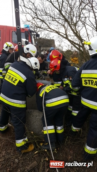 Zdjęcie w galerii na portalu naszraciborz.pl: Strażacy uratowali kota, który wpadł do studni. FOTO i WIDEO z akcji wiadomości z regionu
