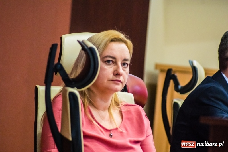 Zdjęcie w galerii na portalu naszraciborz.pl: Biznes i czyste powietrze - radni obrali kierunek  wiadomości z regionu