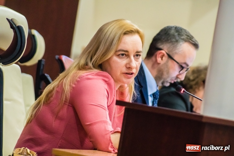 Zdjęcie w galerii na portalu naszraciborz.pl: Biznes i czyste powietrze - radni obrali kierunek  wiadomości z regionu