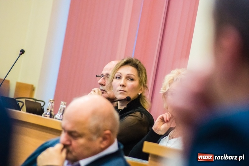 Zdjęcie w galerii na portalu naszraciborz.pl: Biznes i czyste powietrze - radni obrali kierunek  wiadomości z regionu