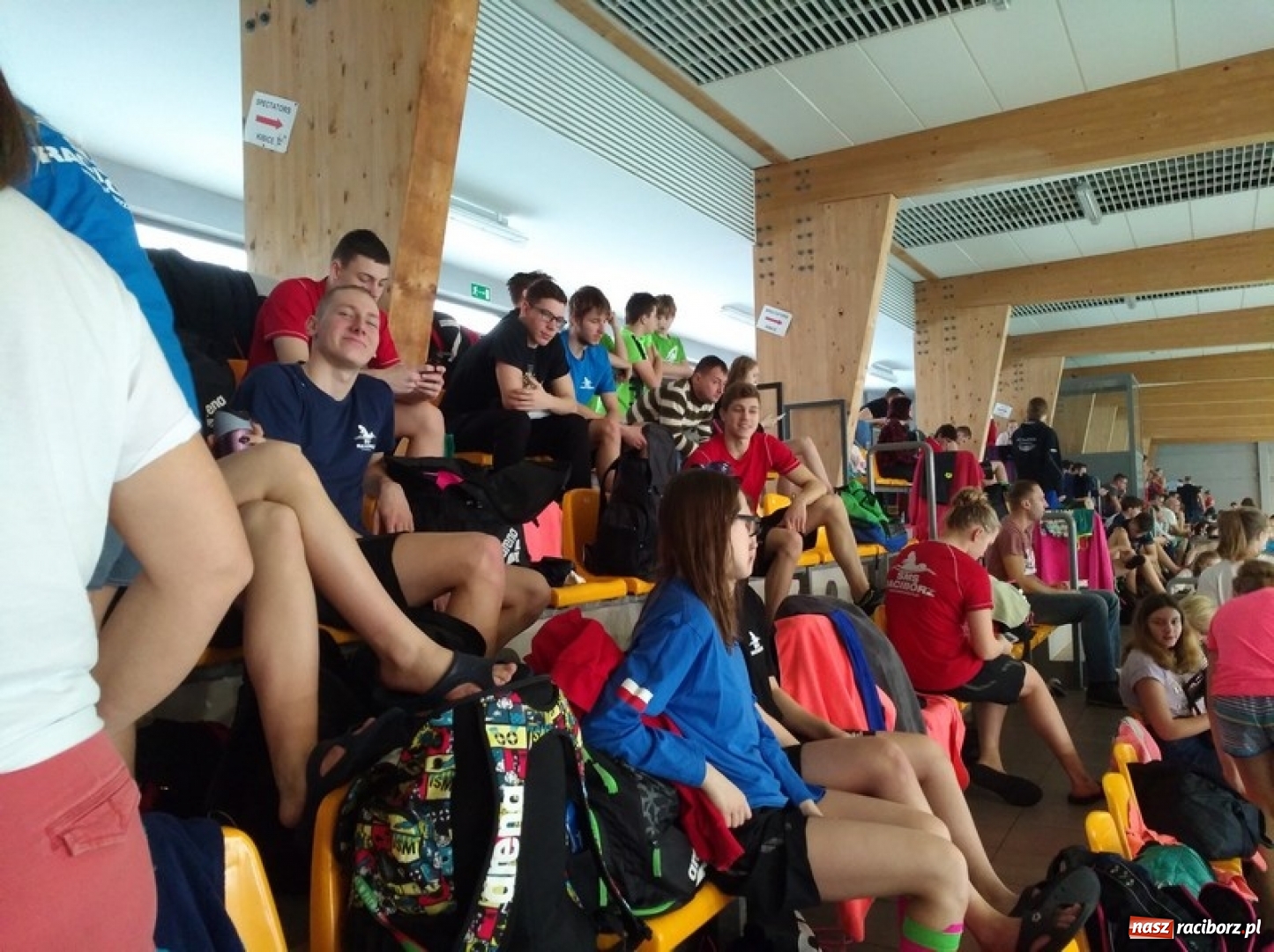 Zdjęcie w galerii na portalu naszraciborz.pl: Pływanie. Śląska dominacja pływaków  wiadomości z regionu
