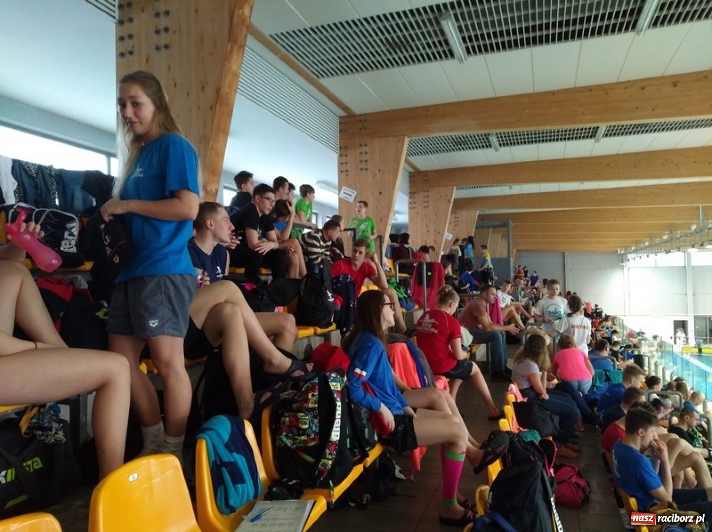 Zdjęcie w galerii na portalu naszraciborz.pl: Pływanie. Śląska dominacja pływaków  wiadomości z regionu