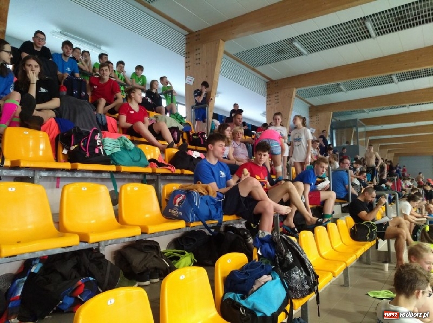 Zdjęcie w galerii na portalu naszraciborz.pl: Pływanie. Śląska dominacja pływaków  wiadomości z regionu