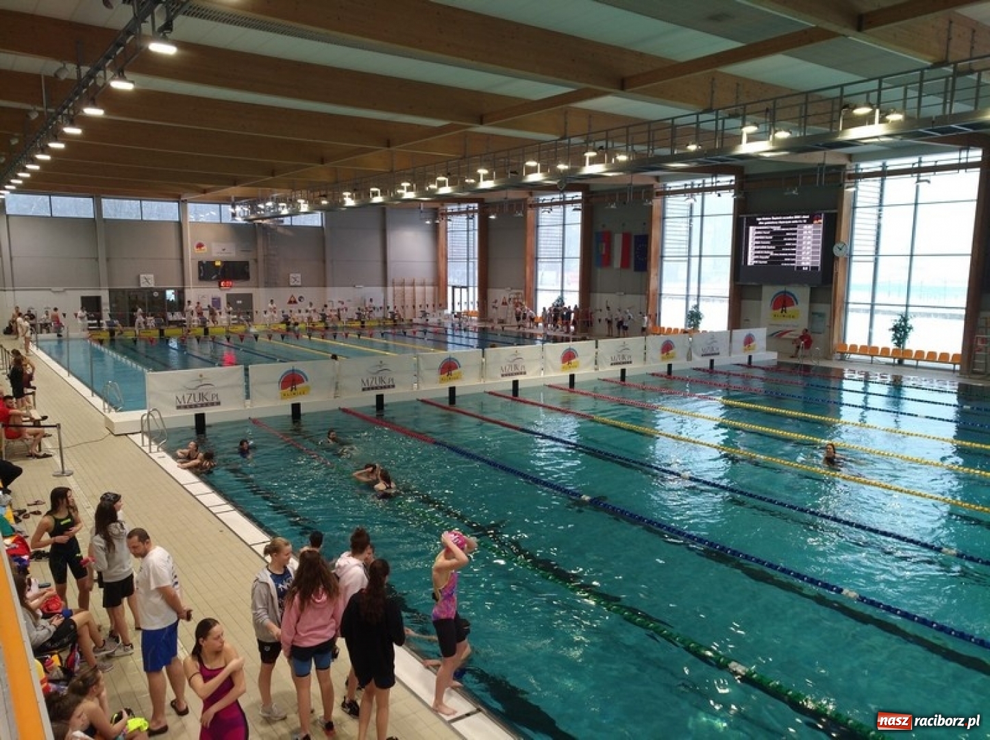 Zdjęcie w galerii na portalu naszraciborz.pl: Pływanie. Śląska dominacja pływaków  wiadomości z regionu