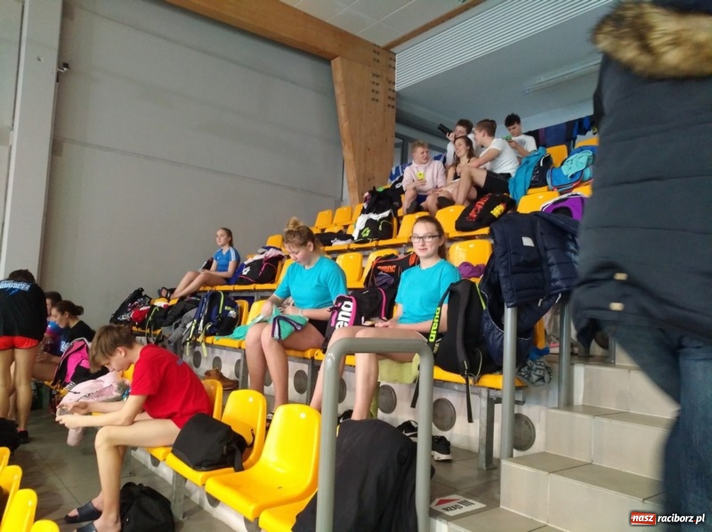 Zdjęcie w galerii na portalu naszraciborz.pl: Pływanie. Śląska dominacja pływaków  wiadomości z regionu