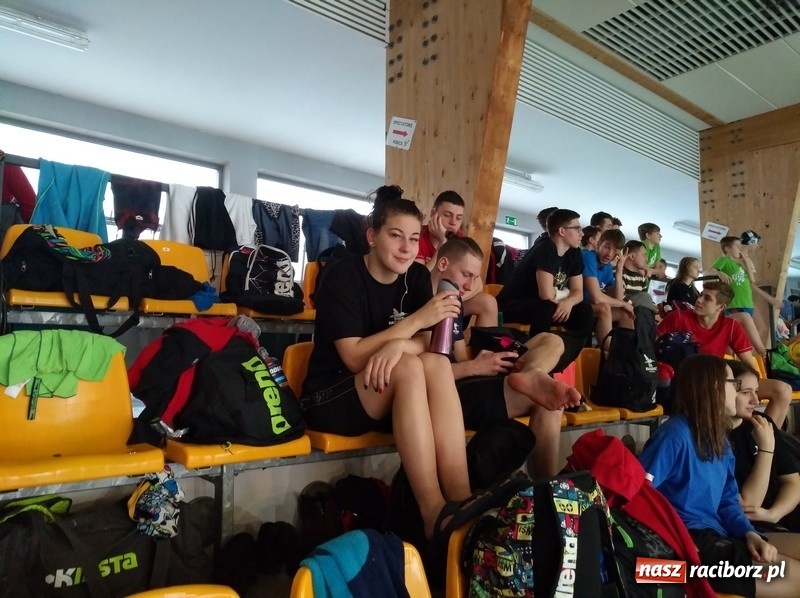 Zdjęcie w galerii na portalu naszraciborz.pl: Pływanie. Śląska dominacja pływaków  wiadomości z regionu
