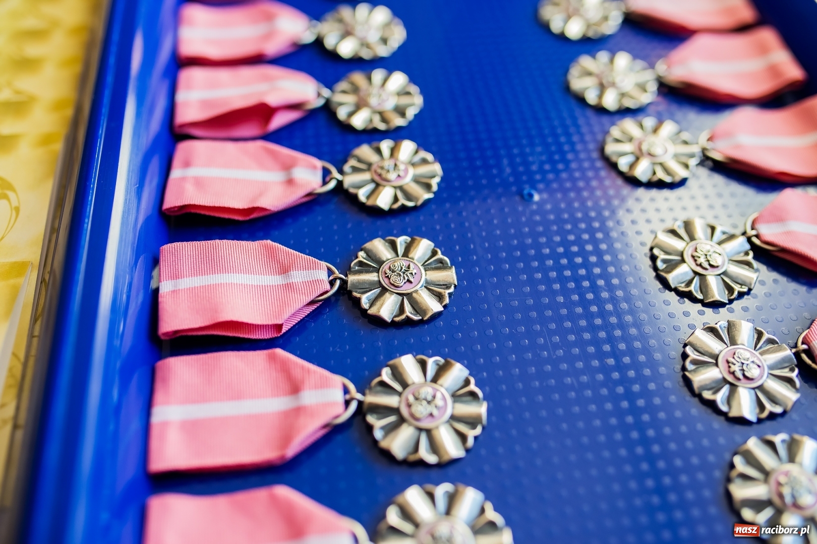 Zdjęcie w galerii na portalu naszraciborz.pl: Najważniejsza jest miłość. Złote gody w Pietrowicach Wielkich wiadomości z regionu