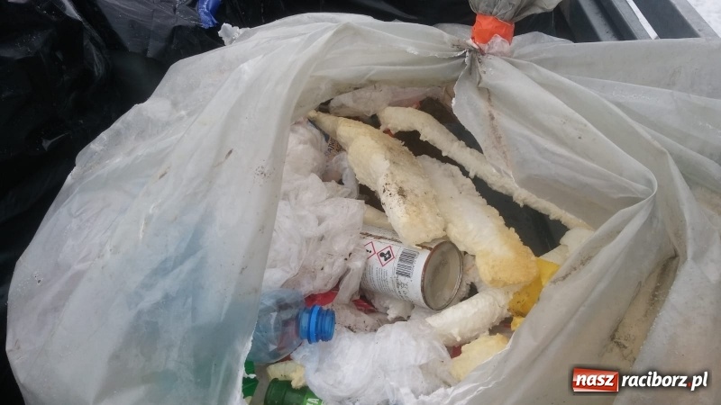 Zdjęcie w galerii na portalu naszraciborz.pl: Interwencja! Możesz pan to wywieźć do lasu... wiadomości z regionu