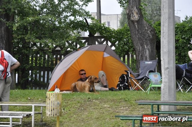Zdjęcie w galerii na portalu naszraciborz.pl: Psie piękności zjechały do Raciborza wiadomości z regionu