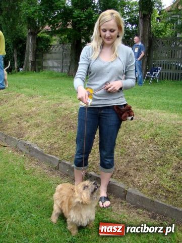 Zdjęcie w galerii na portalu naszraciborz.pl: Psie piękności zjechały do Raciborza wiadomości z regionu
