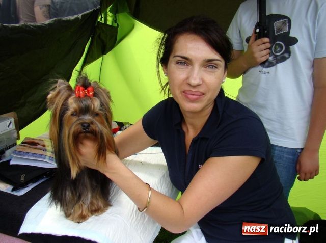 Zdjęcie w galerii na portalu naszraciborz.pl: Psie piękności zjechały do Raciborza wiadomości z regionu