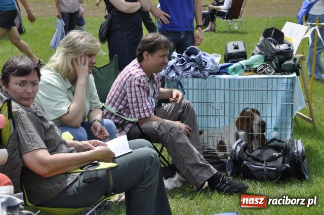 Zdjęcie w galerii na portalu naszraciborz.pl: Psie piękności zjechały do Raciborza wiadomości z regionu