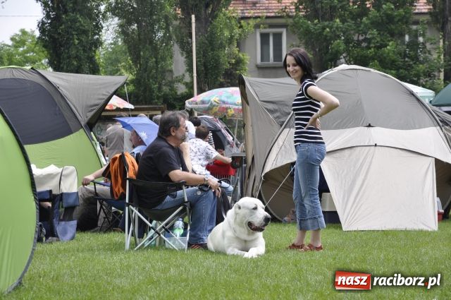 Zdjęcie w galerii na portalu naszraciborz.pl: Psie piękności zjechały do Raciborza wiadomości z regionu