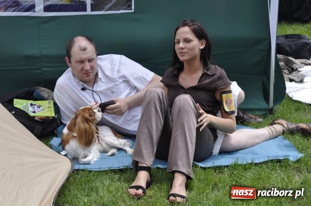 Zdjęcie w galerii na portalu naszraciborz.pl: Psie piękności zjechały do Raciborza wiadomości z regionu