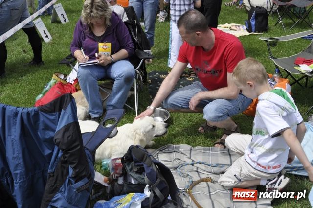 Zdjęcie w galerii na portalu naszraciborz.pl: Psie piękności zjechały do Raciborza wiadomości z regionu
