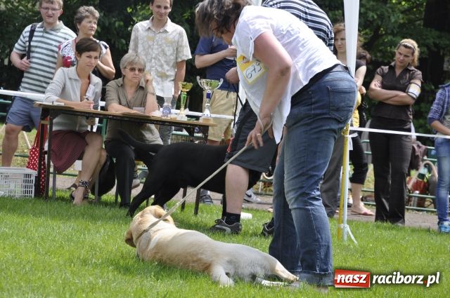 Zdjęcie w galerii na portalu naszraciborz.pl: Psie piękności zjechały do Raciborza wiadomości z regionu
