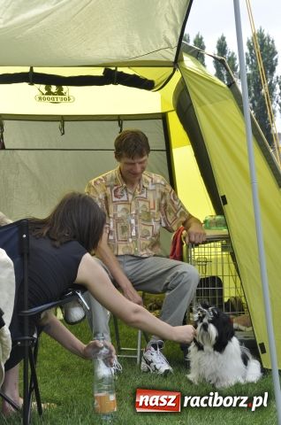 Zdjęcie w galerii na portalu naszraciborz.pl: Psie piękności zjechały do Raciborza wiadomości z regionu
