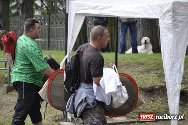 Zdjęcie w galerii na portalu naszraciborz.pl: Psie piękności zjechały do Raciborza wiadomości z regionu