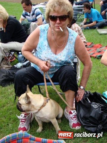 Zdjęcie w galerii na portalu naszraciborz.pl: Psie piękności zjechały do Raciborza wiadomości z regionu