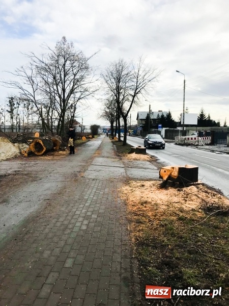 Zdjęcie w galerii na portalu naszraciborz.pl: Na Łąkowej, Kościuszki i Ocickiej ruszyła wycinka drzew  wiadomości z regionu