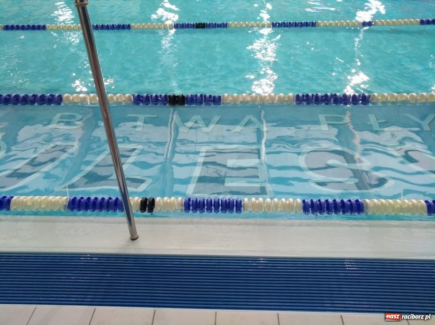 Zdjęcie w galerii na portalu naszraciborz.pl: Pływanie. Beata Maruszczyk wygrywa w Pucharze Silesia wiadomości z regionu
