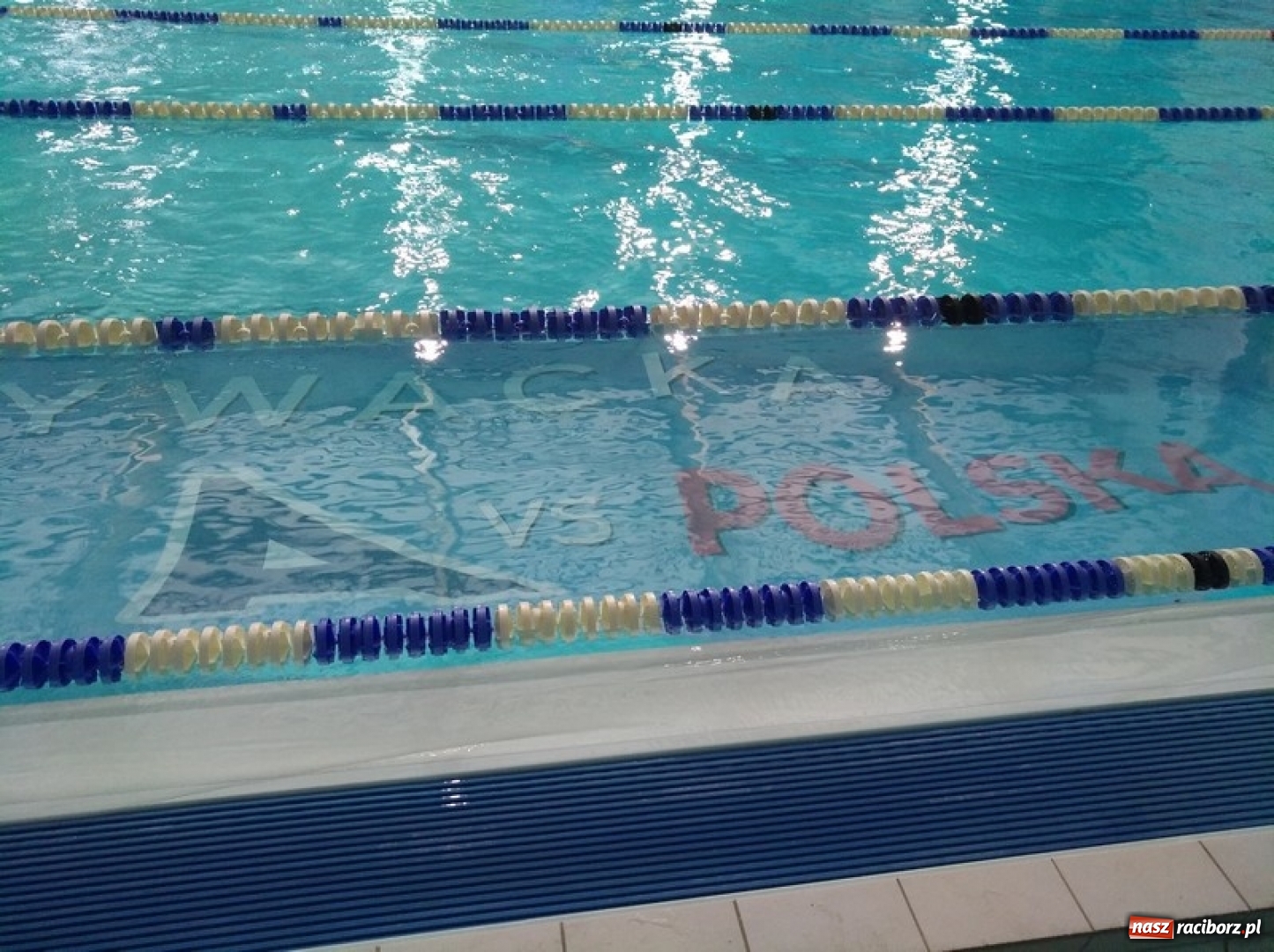 Zdjęcie w galerii na portalu naszraciborz.pl: Pływanie. Beata Maruszczyk wygrywa w Pucharze Silesia wiadomości z regionu
