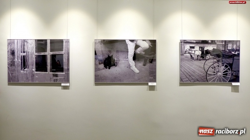 Zdjęcie w galerii na portalu naszraciborz.pl: NEWS. Nowa wystawa w Gawrze  wiadomości z regionu