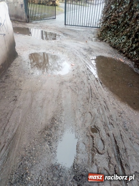 Zdjęcie w galerii na portalu naszraciborz.pl: Kałuże i garby zbyt dużym wyzwaniem dla MZB  wiadomości z regionu
