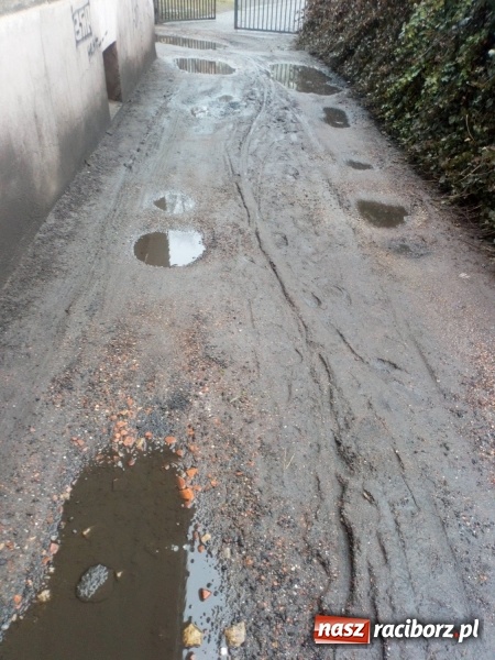 Zdjęcie w galerii na portalu naszraciborz.pl: Kałuże i garby zbyt dużym wyzwaniem dla MZB  wiadomości z regionu