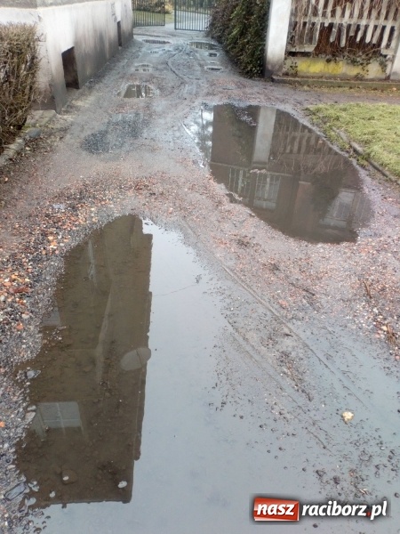 Zdjęcie w galerii na portalu naszraciborz.pl: Kałuże i garby zbyt dużym wyzwaniem dla MZB  wiadomości z regionu