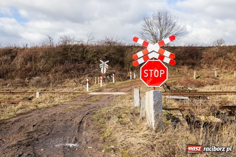 Zdjęcie w galerii na portalu naszraciborz.pl: Kolej wstrzymała likwidację przejazdów w Studziennej  wiadomości z regionu
