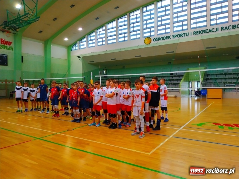Zdjęcie w galerii na portalu naszraciborz.pl: Siatkarski maraton w Arenie Rafako. Ekipa z Kędzierzyna-Koźla triumfuje  wiadomości z regionu