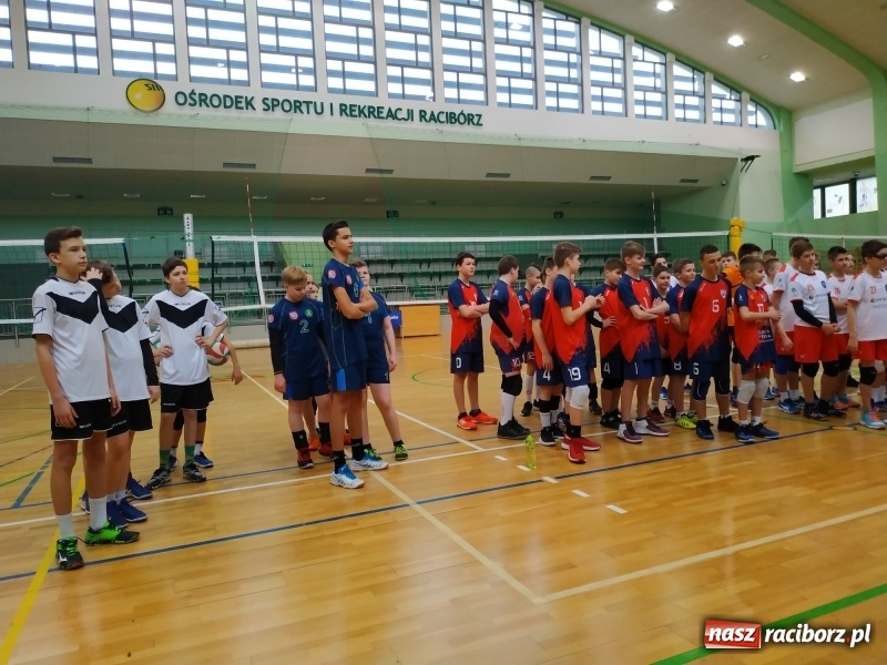 Zdjęcie w galerii na portalu naszraciborz.pl: Siatkarski maraton w Arenie Rafako. Ekipa z Kędzierzyna-Koźla triumfuje  wiadomości z regionu