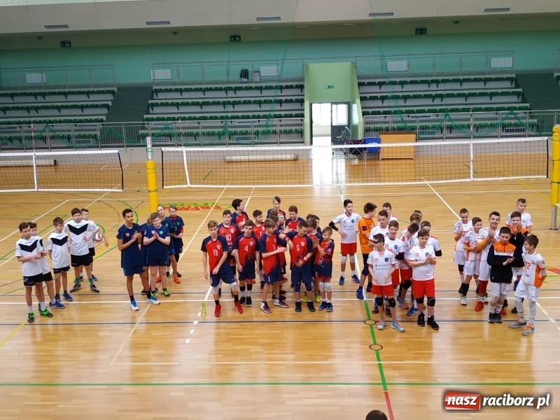 Zdjęcie w galerii na portalu naszraciborz.pl: Siatkarski maraton w Arenie Rafako. Ekipa z Kędzierzyna-Koźla triumfuje  wiadomości z regionu