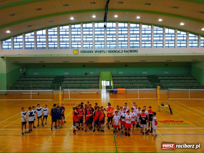 Zdjęcie w galerii na portalu naszraciborz.pl: Siatkarski maraton w Arenie Rafako. Ekipa z Kędzierzyna-Koźla triumfuje  wiadomości z regionu