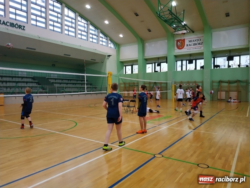 Zdjęcie w galerii na portalu naszraciborz.pl: Siatkarski maraton w Arenie Rafako. Ekipa z Kędzierzyna-Koźla triumfuje  wiadomości z regionu
